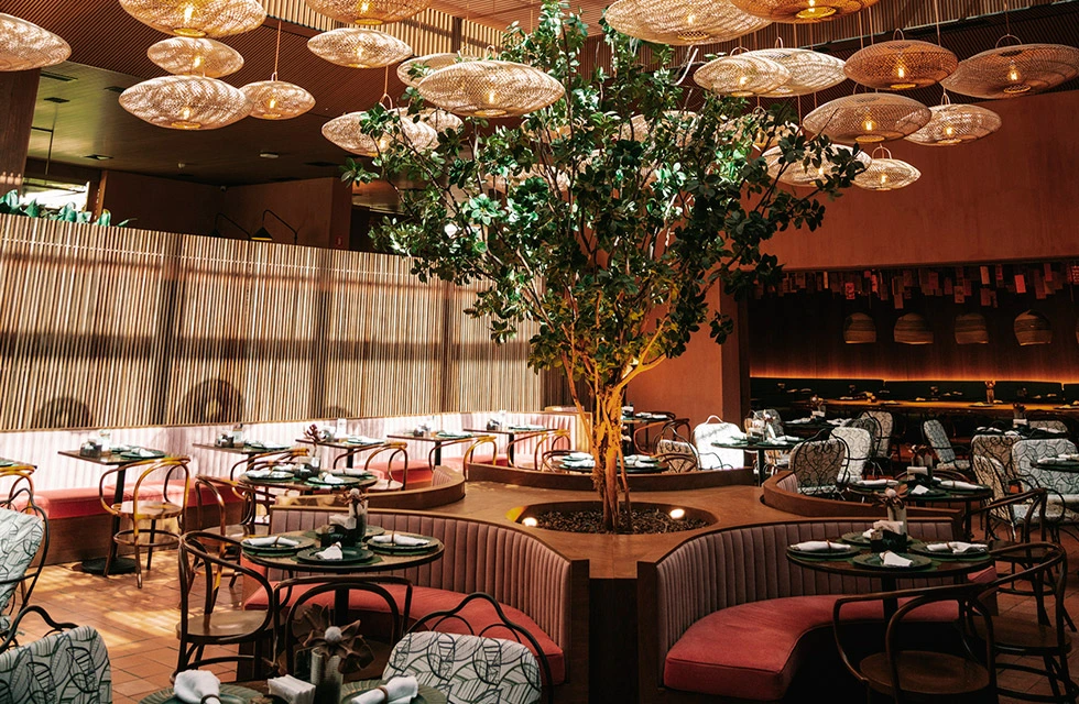 Restaurante no Clara Arte