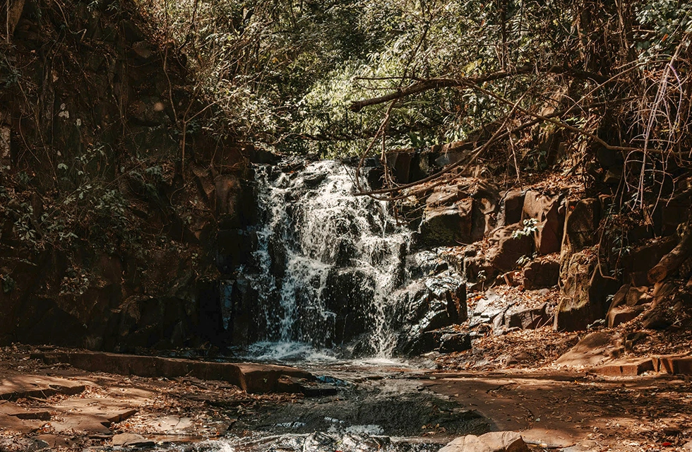 cachoeira clara dourado