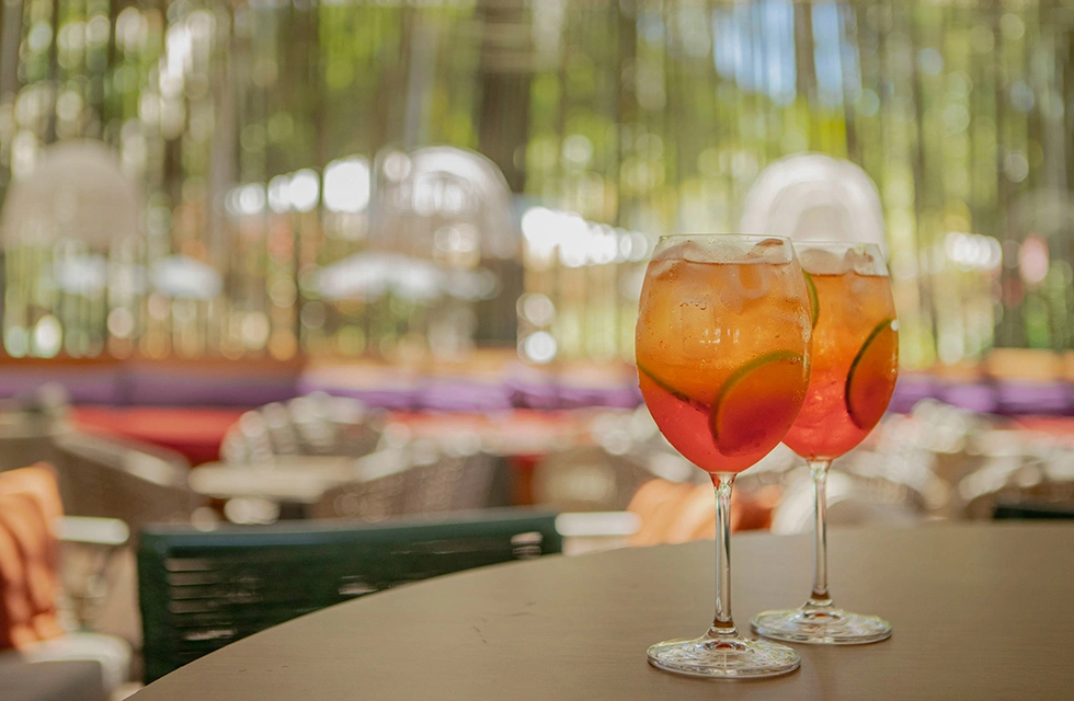 drinks bar do clara dourado