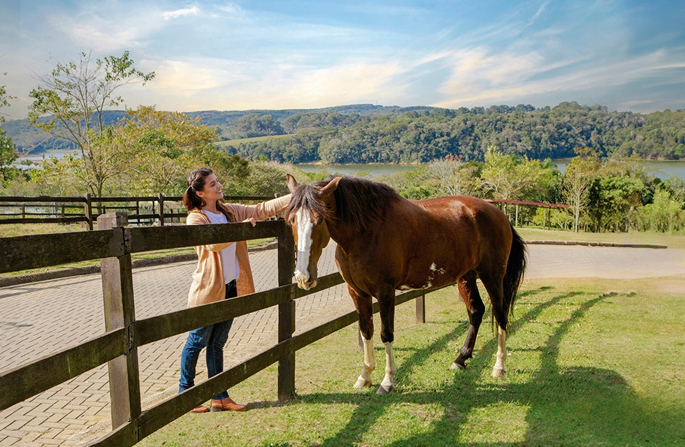 mulher fazendo carinho no cavalo
